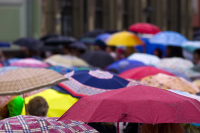 Crowd Of People With Umbrellas